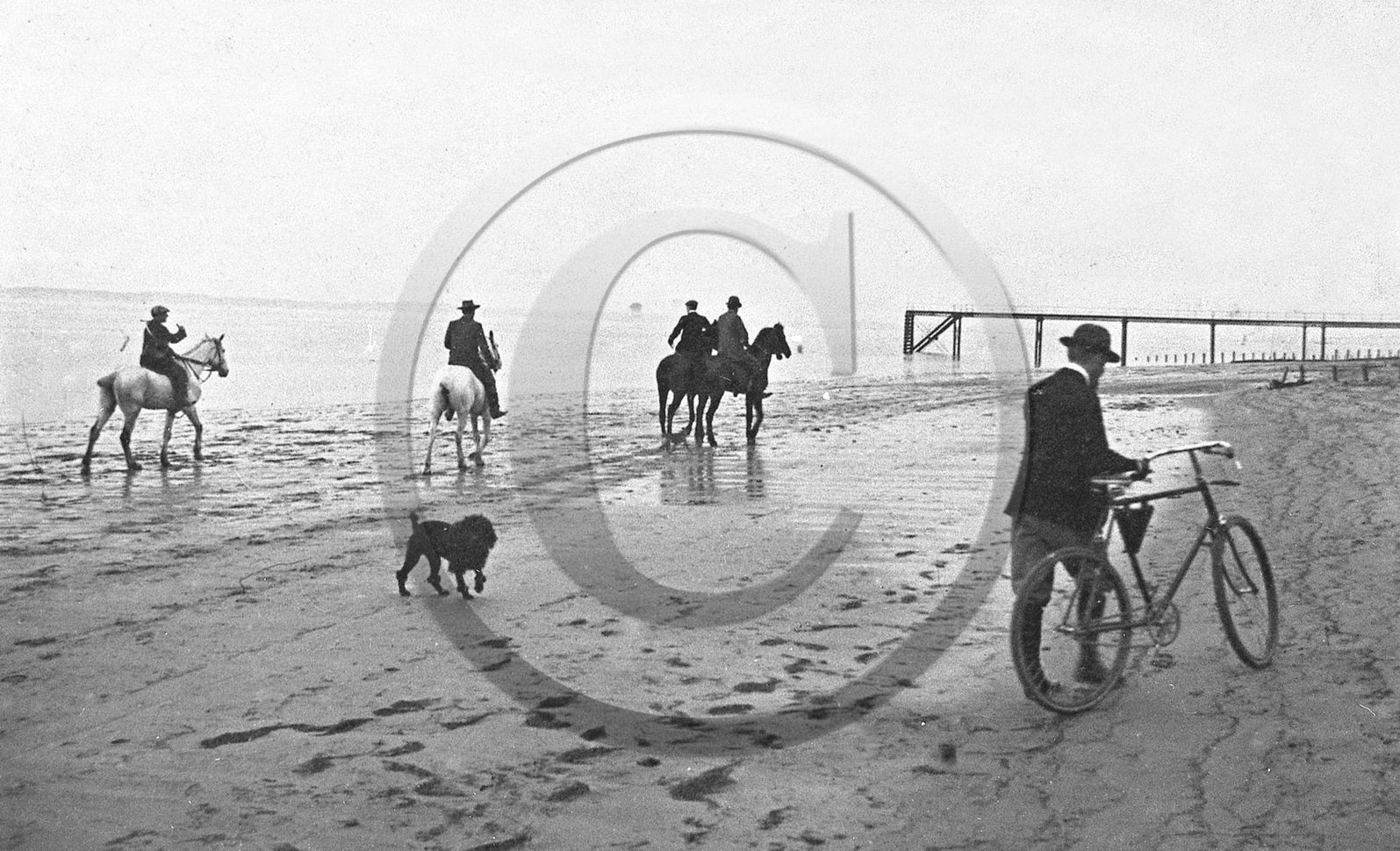 arc 1956.jpg