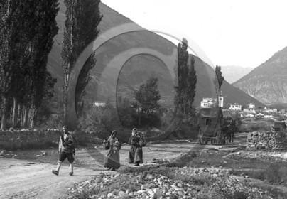AG 476.jpg