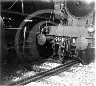 CH 98.jpg