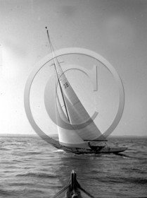 arc 1432.jpg