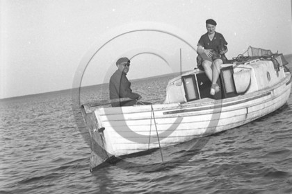 arc 1298.jpg