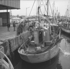 arc 1605.jpg