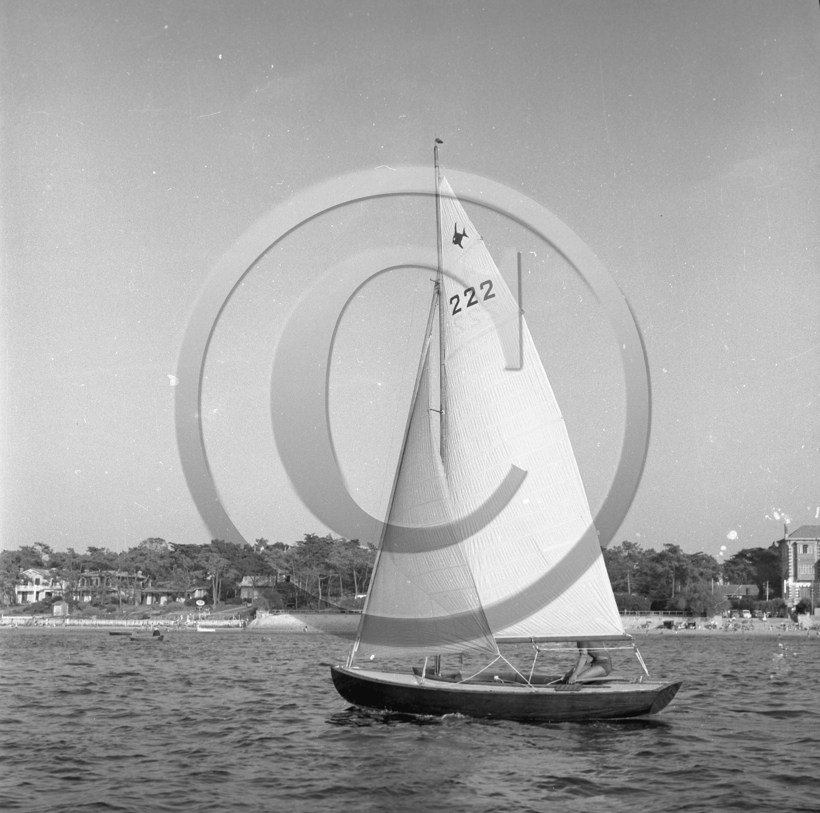 arc 1352.jpg