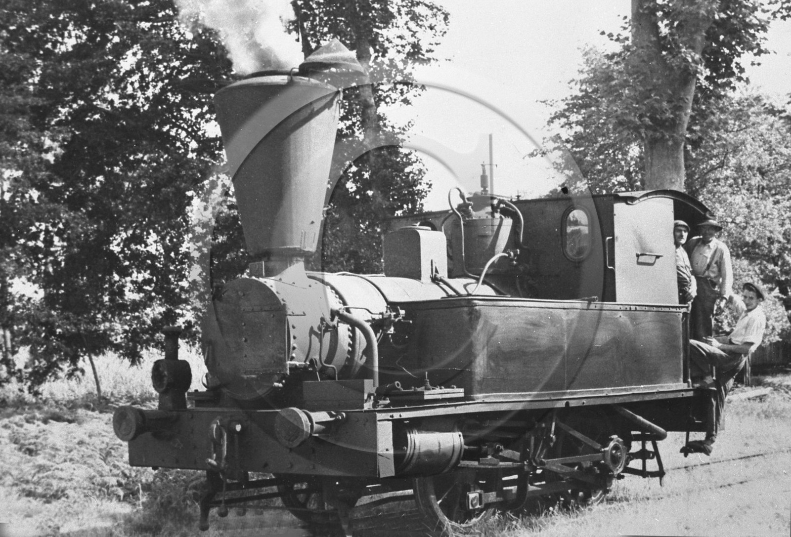 arc 1339.jpg