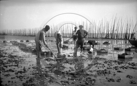 arc 1941  .jpg