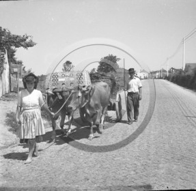 portugal  -8.jpg