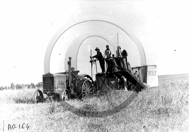 AG 164.jpg