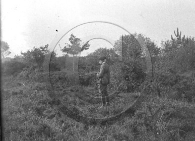 sl 270 chasse.jpg