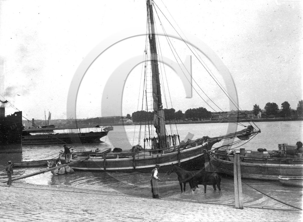 BX 431     photo voir album  .jpg