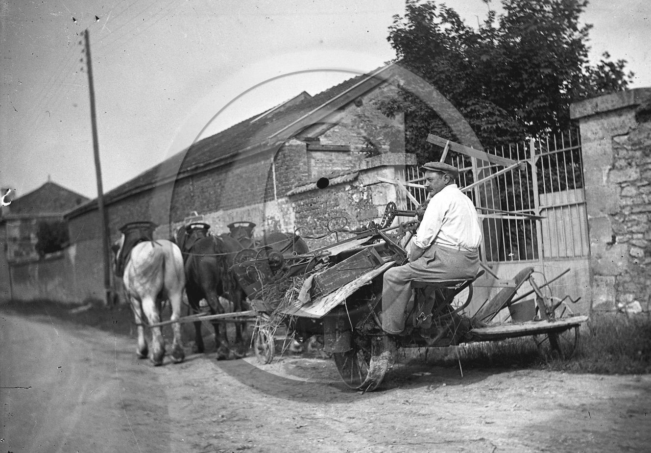 ag 317.jpg