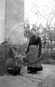 AG 480.jpg