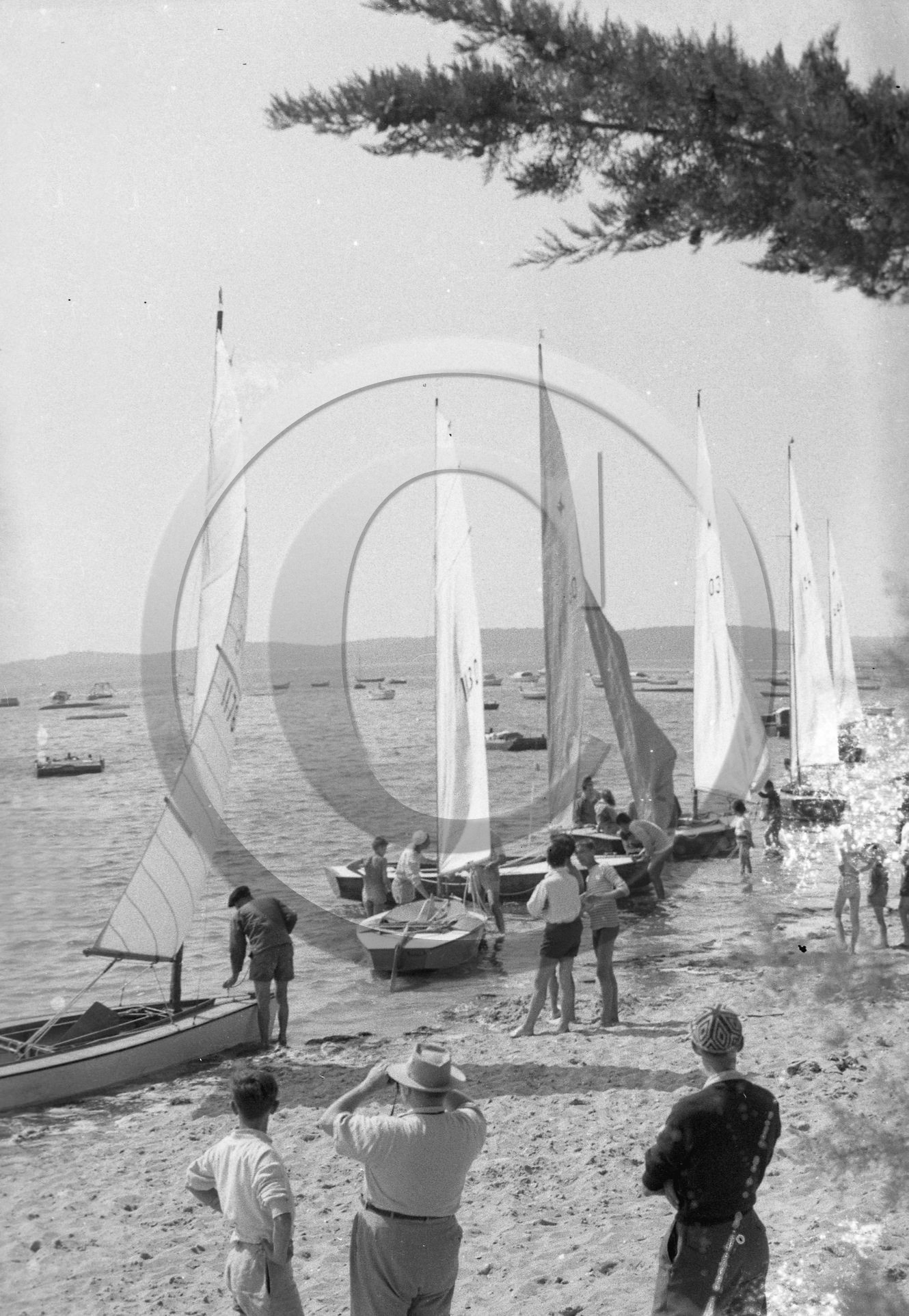 arc 1727.jpg