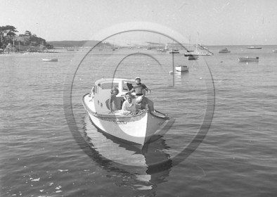 arc 1254.jpg