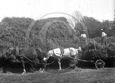 AG 722 .jpg