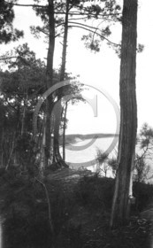 arc 4230 .jpg