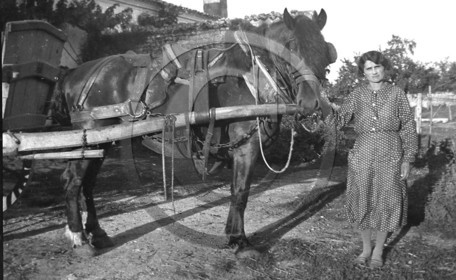 AG 123.jpg