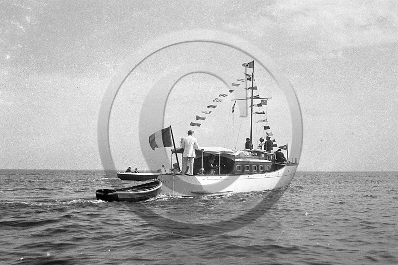 arc 1294.jpg