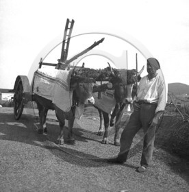 AG 234.jpg