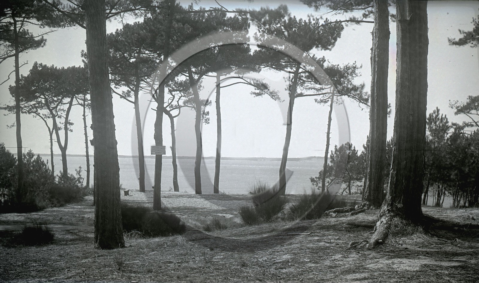 arc 1532.jpg