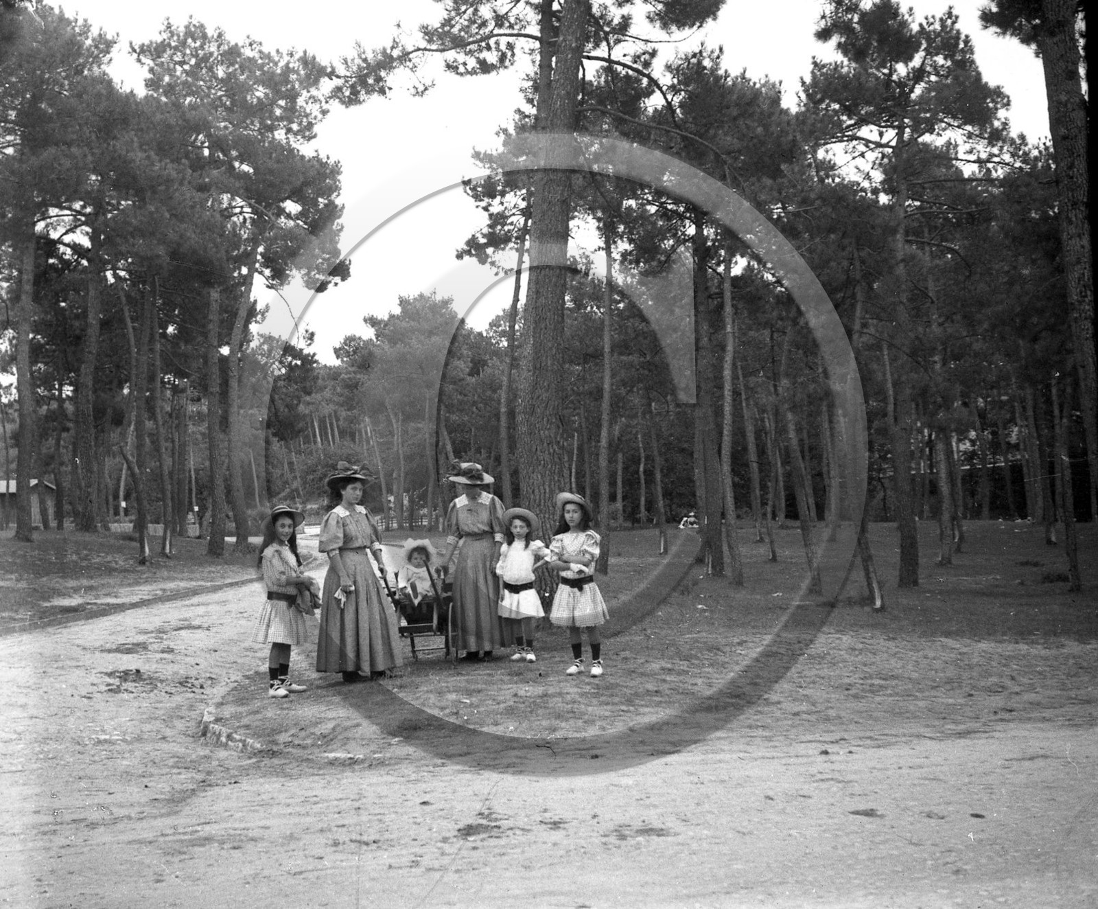 arc 4193 .jpg