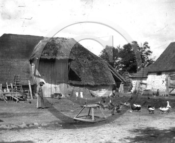AG 370.jpg
