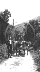 AG 64.jpg