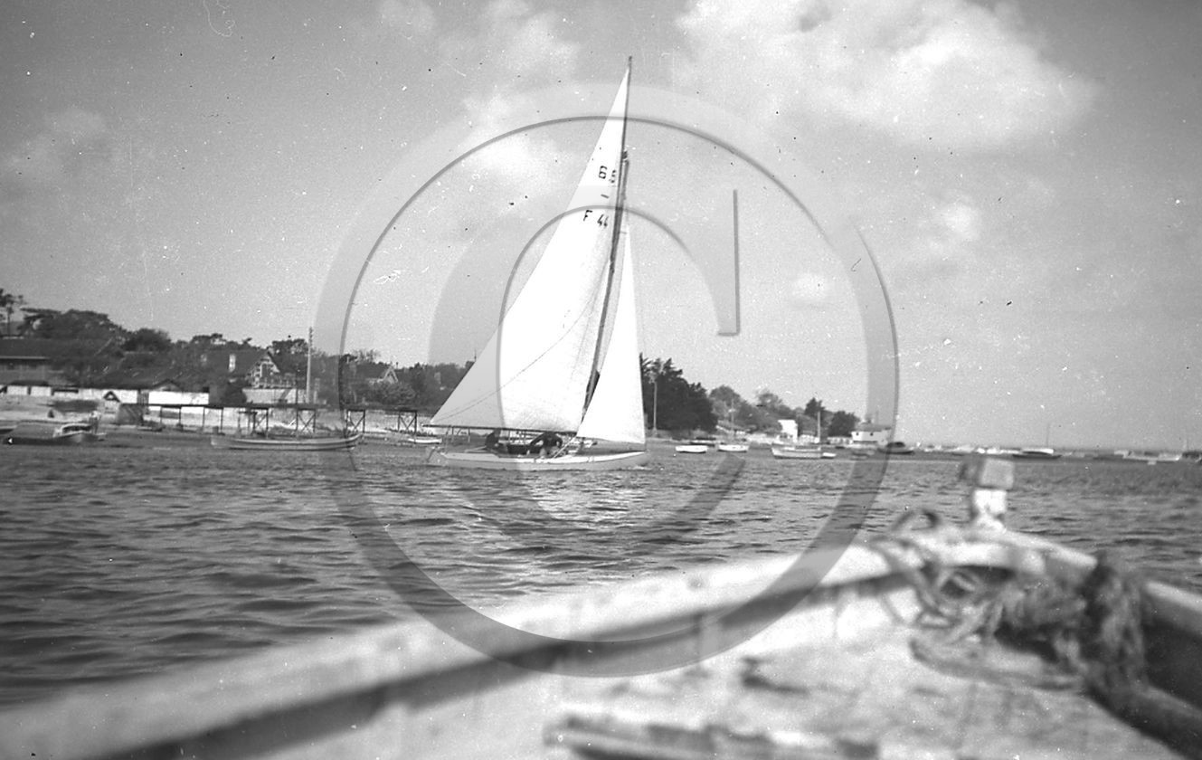 arc 1235.jpg