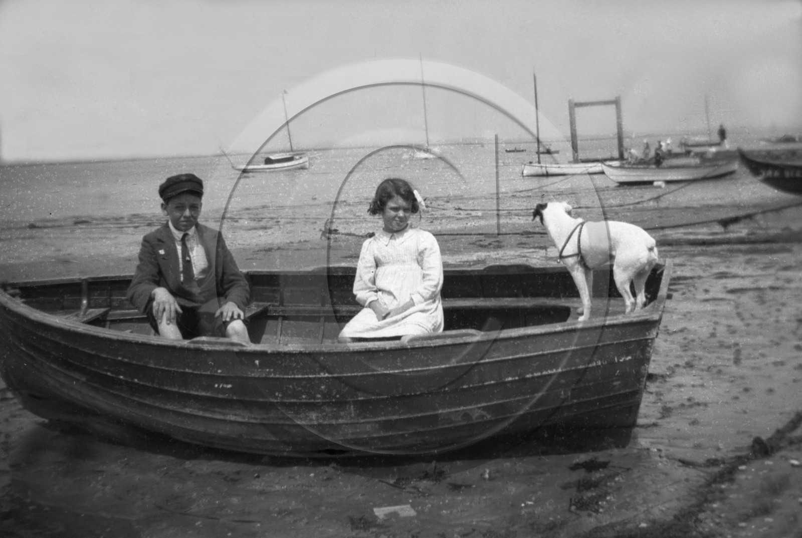 arc 2240 .jpg