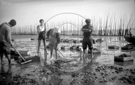 arc 1940  .jpg