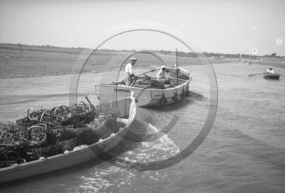 arc 3983.jpg