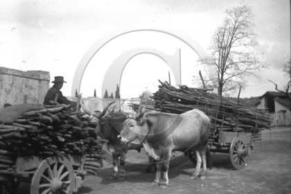 ag 347.jpg