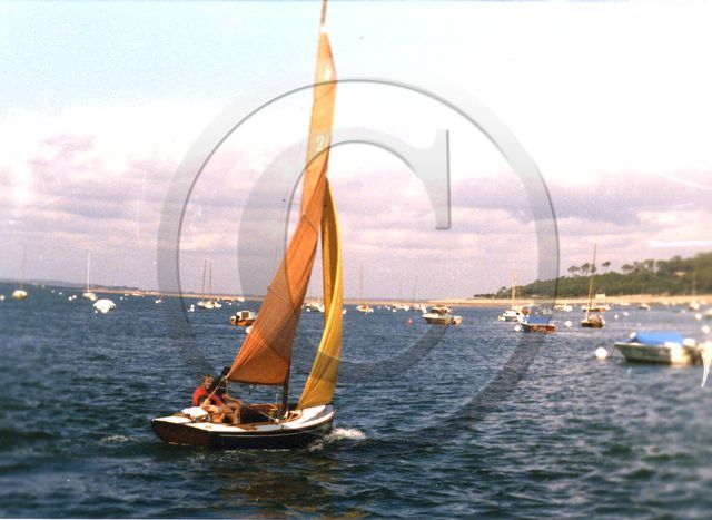 pacific 247