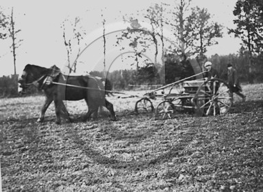 AG 196.jpg