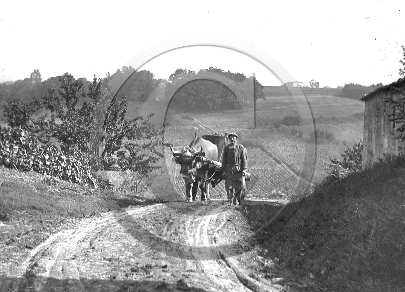 AG 440  cadré.jpg