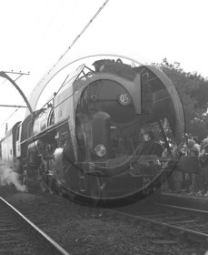 arc 1208.jpg