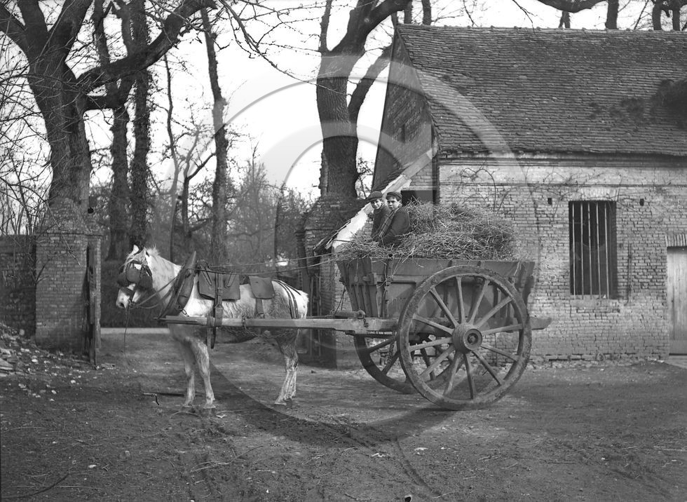 ag 321.jpg