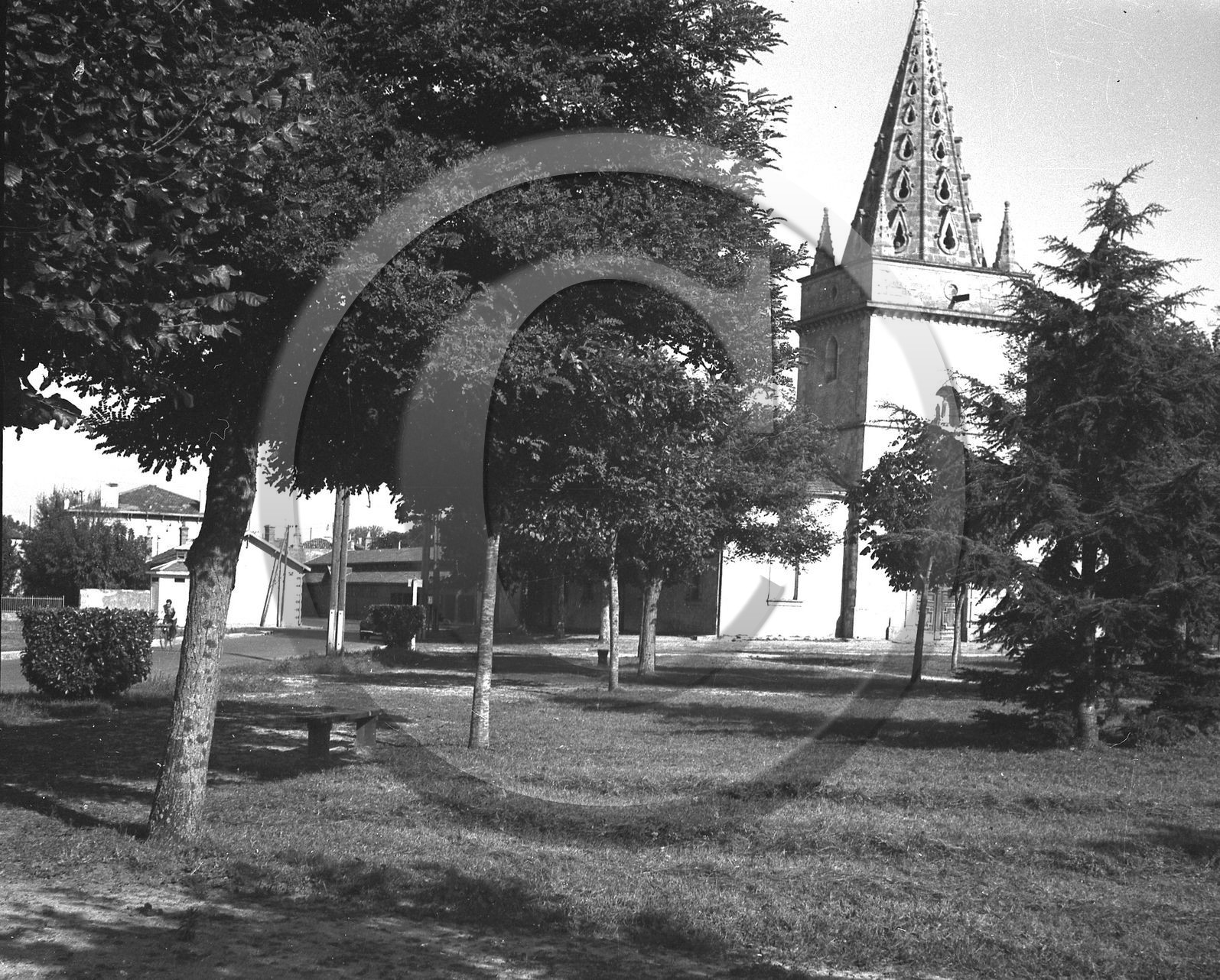 arc 2494.jpg