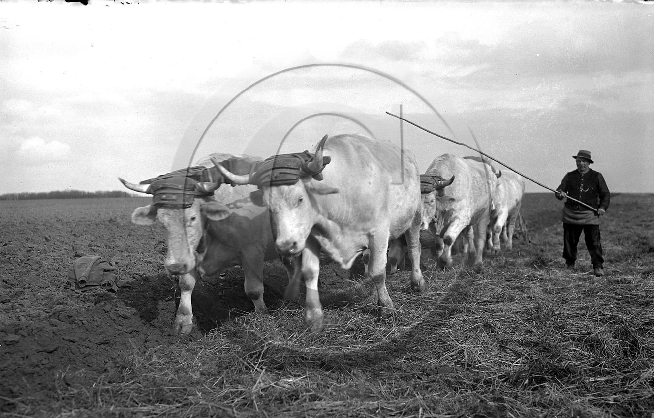 AG 79.jpg