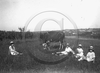 AG 495.jpg