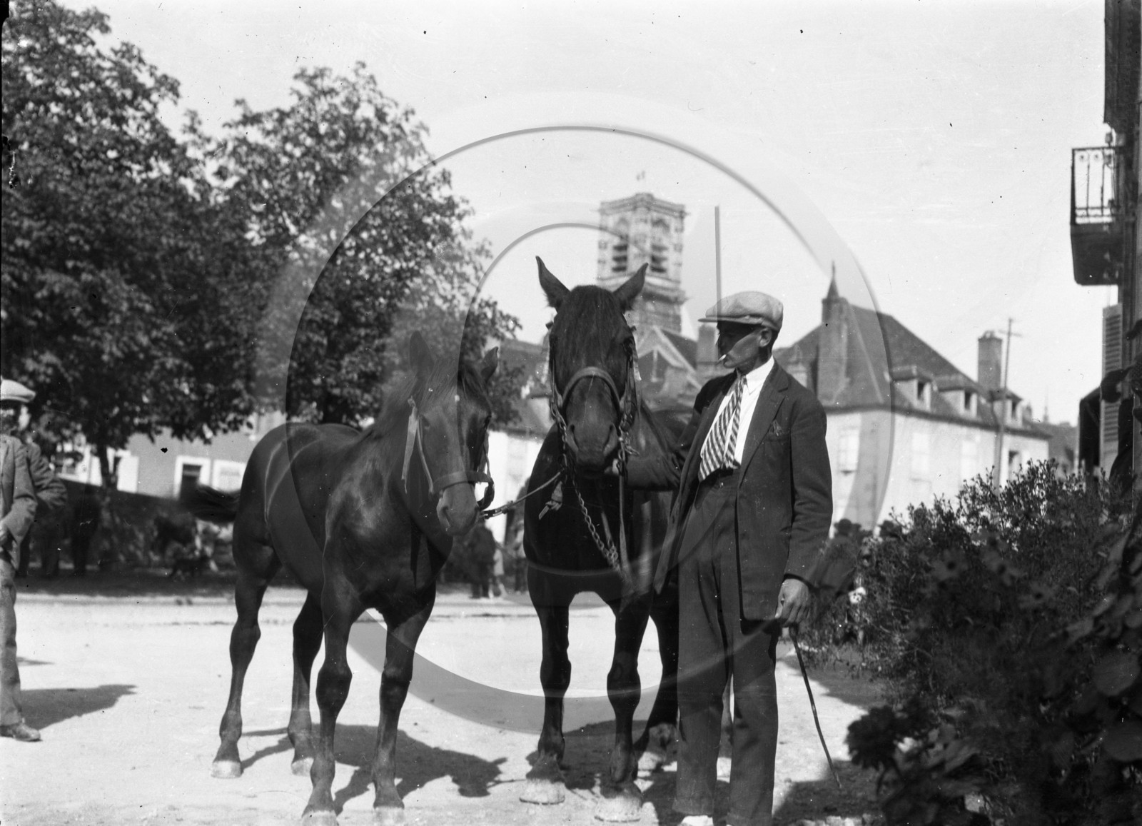 AG 552 chevaux .jpg
