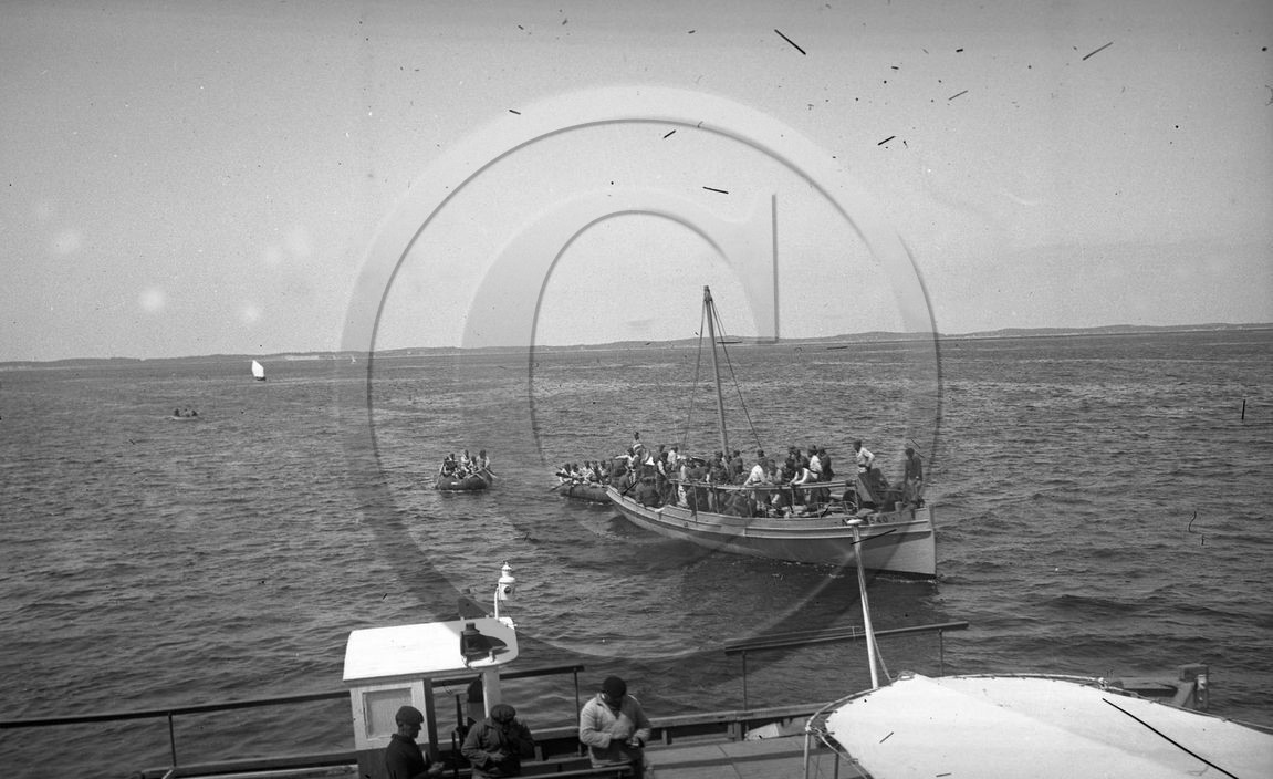 arc 1557.jpg