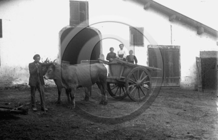 ag 345.jpg