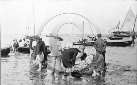 arc 1285.jpg