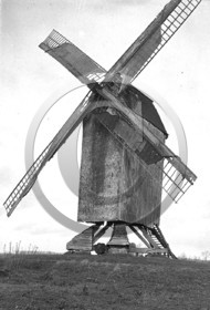 AG 139.jpg