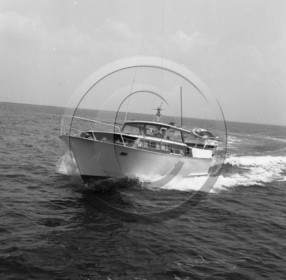 arc 1881 .jpg