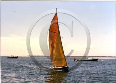 pacific 247