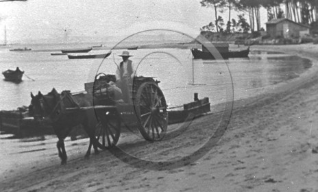 arc 1231.jpg