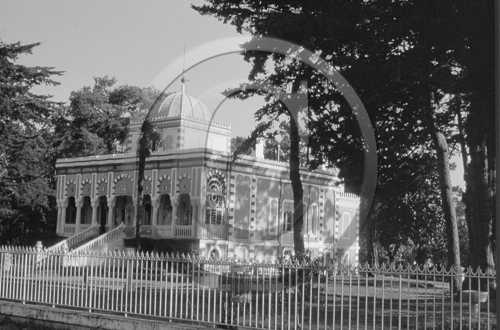 arc 2781.jpg