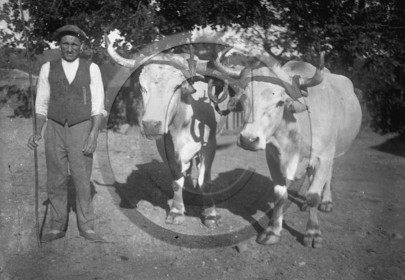 AG 168.jpg