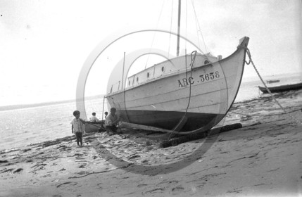arc 1172.jpg
